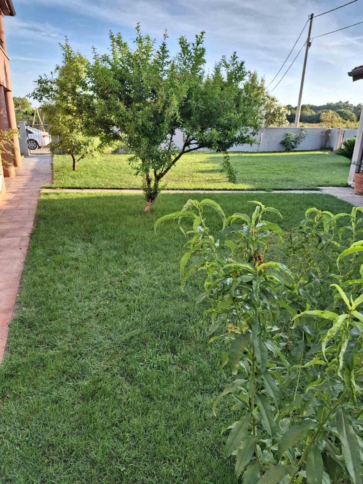 Apartments Ines Пула Екстериор снимка