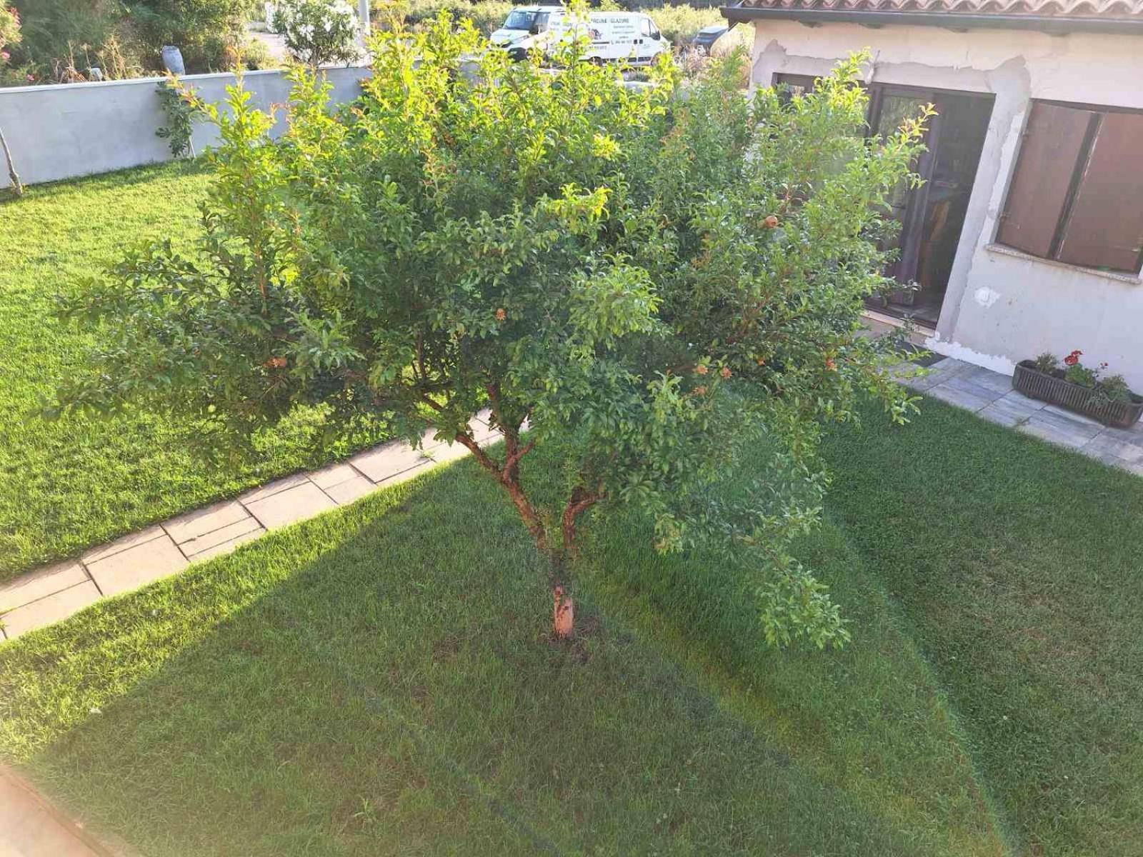 Apartments Ines Пула Екстериор снимка